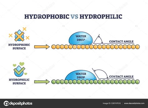hoedrohlic|HYDROPHILIC .